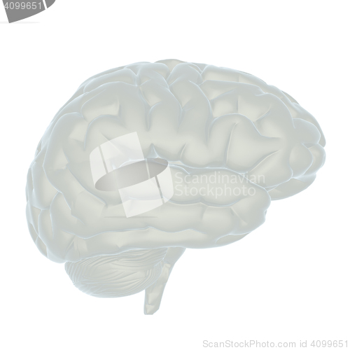 Image of 3D illustration of human brain