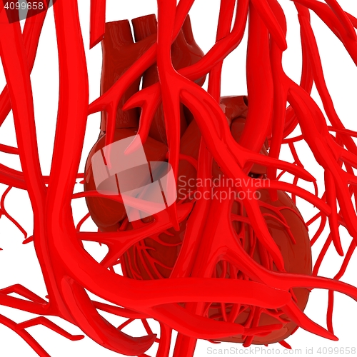 Image of Human heart and veins. 3D illustration.