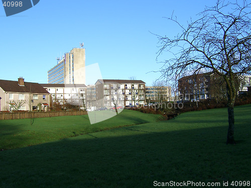 Image of Towers and Tree