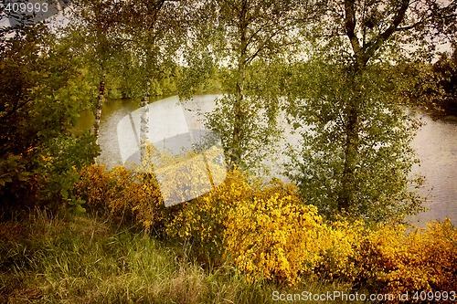 Image of Postcard from Denmark (Series)