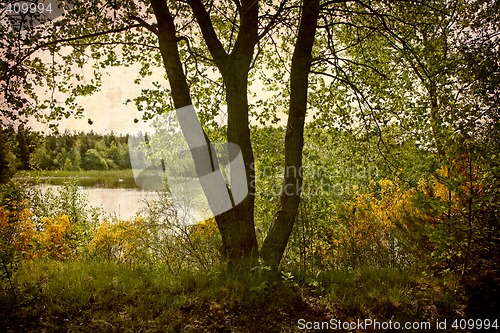 Image of Postcard from Denmark (Series)