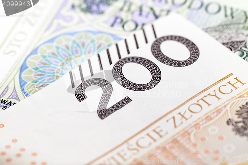 Image of Polish Zloty closeup