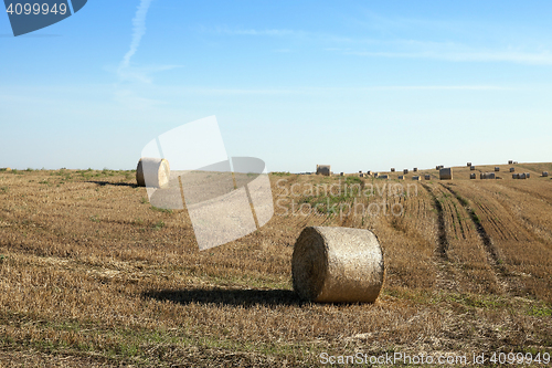 Image of stack of wheat straw