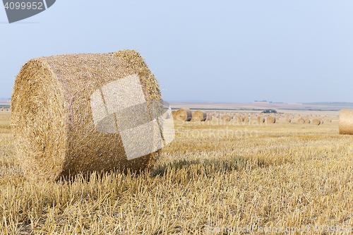 Image of stack of straw in the field