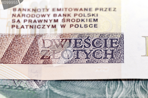 Image of Polish Zloty closeup