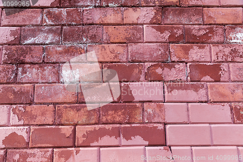 Image of Photo wall, close-up