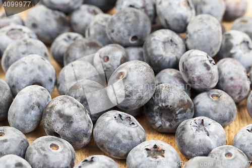 Image of ripe berries blueberry