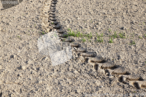 Image of plowed agricultural field