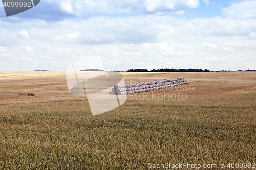 Image of stack of wheat straw