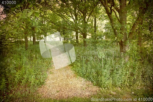 Image of Postcard from Denmark (Series)