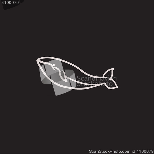 Image of Whale sketch icon.