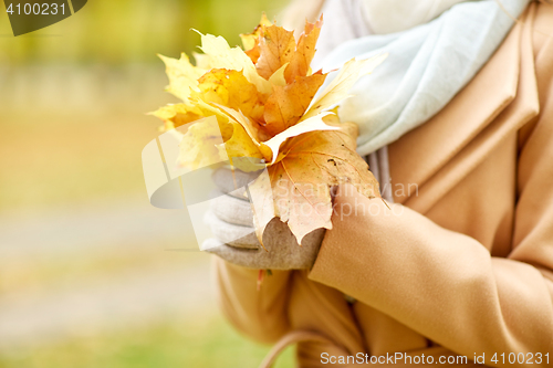 Image of close up of woman with maple leaves in autumn park