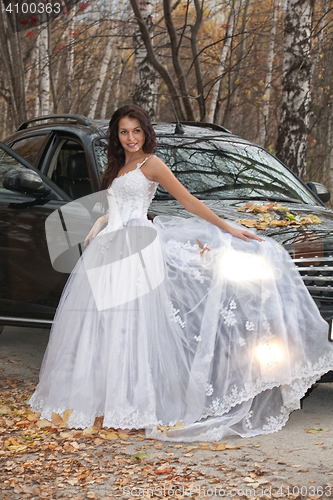 Image of Young Bride In A Forest