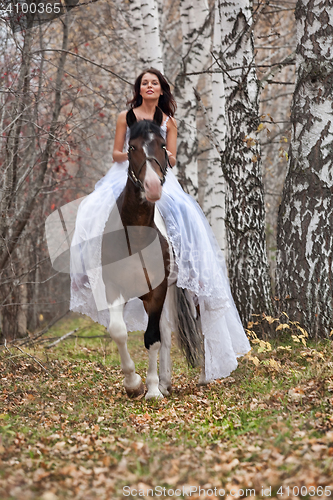 Image of Young Woman And Horse