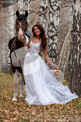 Image of Young Woman And Horse