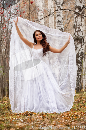 Image of Young Bride In A Forest