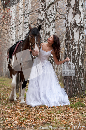 Image of Young Woman And Horse