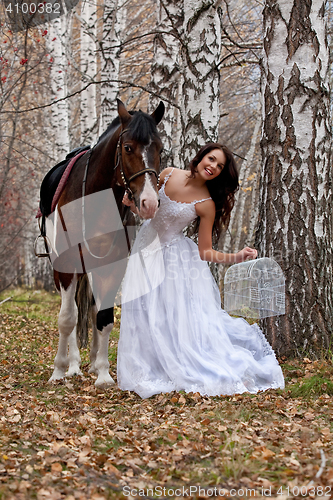 Image of Young Woman And Horse