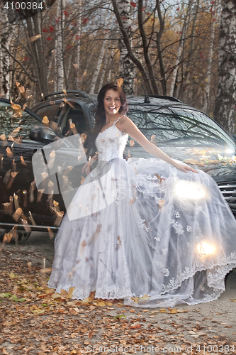 Image of Young Bride In A Forest