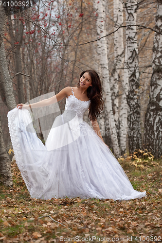 Image of Young Bride In A Forest