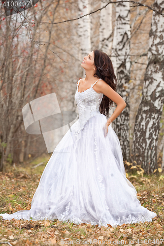 Image of Young Bride In A Forest