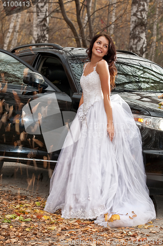 Image of Young Bride In A Forest