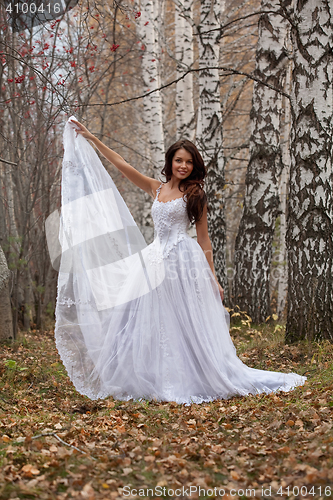 Image of Young Bride In A Forest