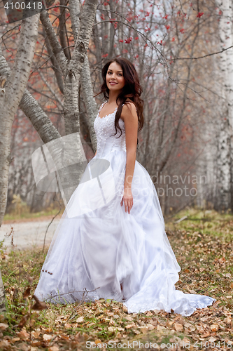 Image of Young Bride In A Forest