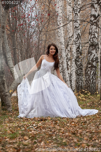 Image of Young Bride In A Forest