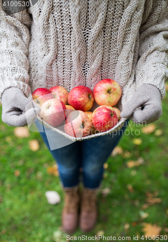 Image of woman with apples at autumn garden