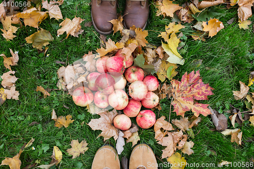 Image of feet in boots with apples and autumn leaves