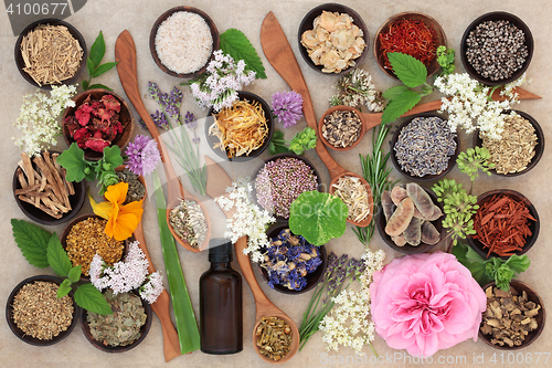 Image of Flower and Herb Selection