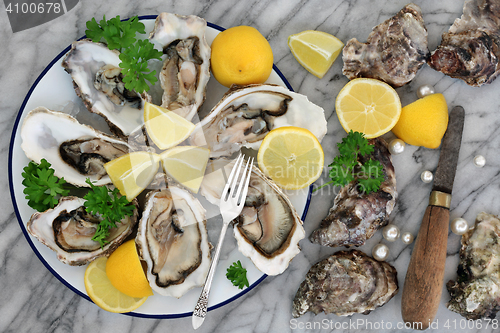 Image of Oysters