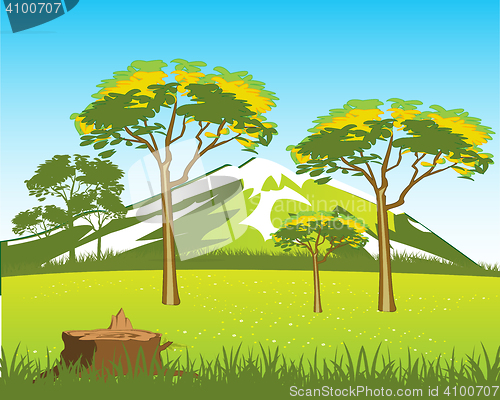 Image of Beautiful wild landscape