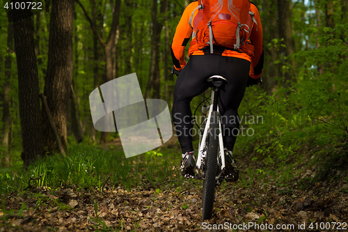 Image of Cyclist Riding the Bike on a Trail in Summer Forest