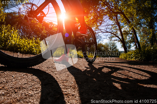 Image of Young woman having fun riding a bicycle in the park.