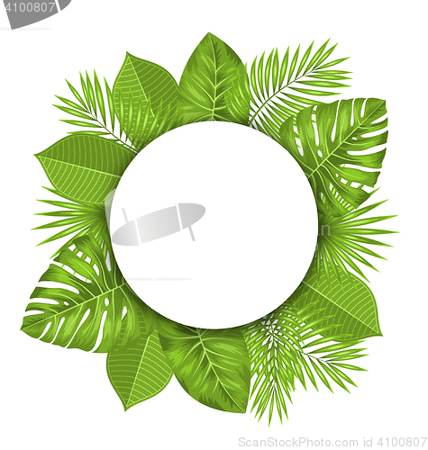 Image of Clean Card with Text Space and Green Tropical Leaves