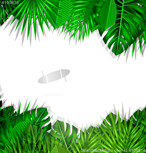 Image of Frame Tropical Leaves Summer Background