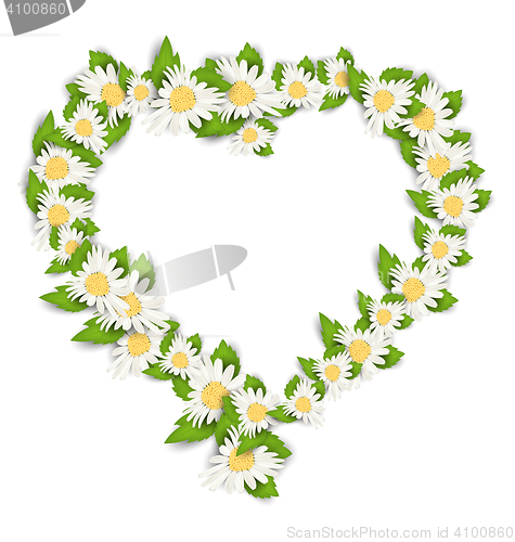 Image of Daisy Flowers in Form Heart Isolated on White Background