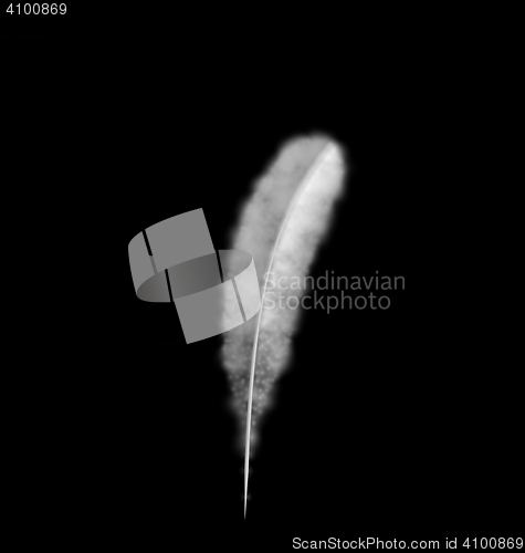 Image of White Feather isolated on Black Background