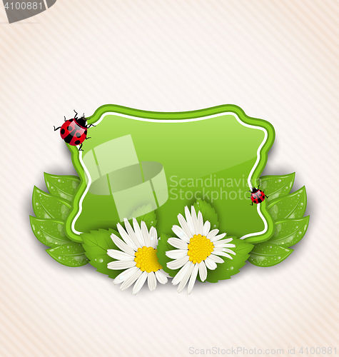 Image of Cute spring card with flower daisies, leaves, ladybugs