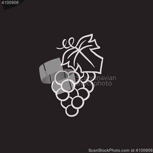 Image of Grape sketch icon.