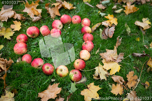 Image of apples in heart shape and autumn leaves on grass