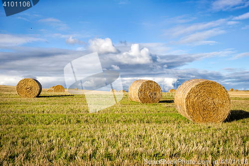 Image of agricultural field and blue sky