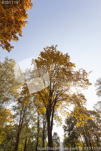 Image of Maple Park in autumn