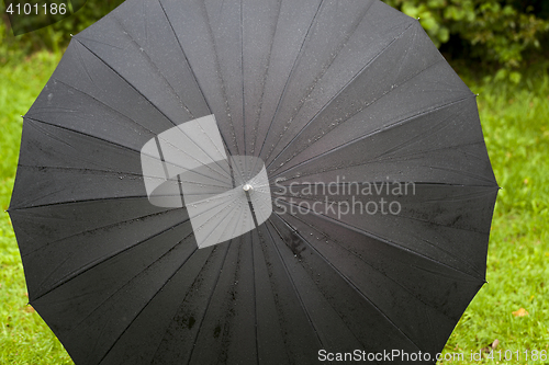 Image of black umbrella with drops