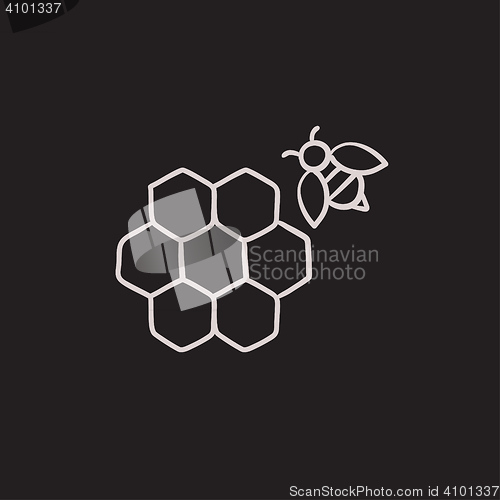 Image of Honeycomb and bee sketch icon.