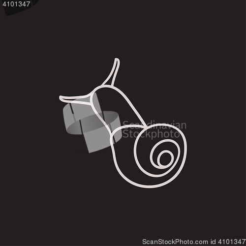 Image of Snail sketch icon.