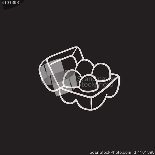 Image of Eggs in carton package sketch icon.