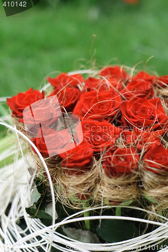 Image of roses